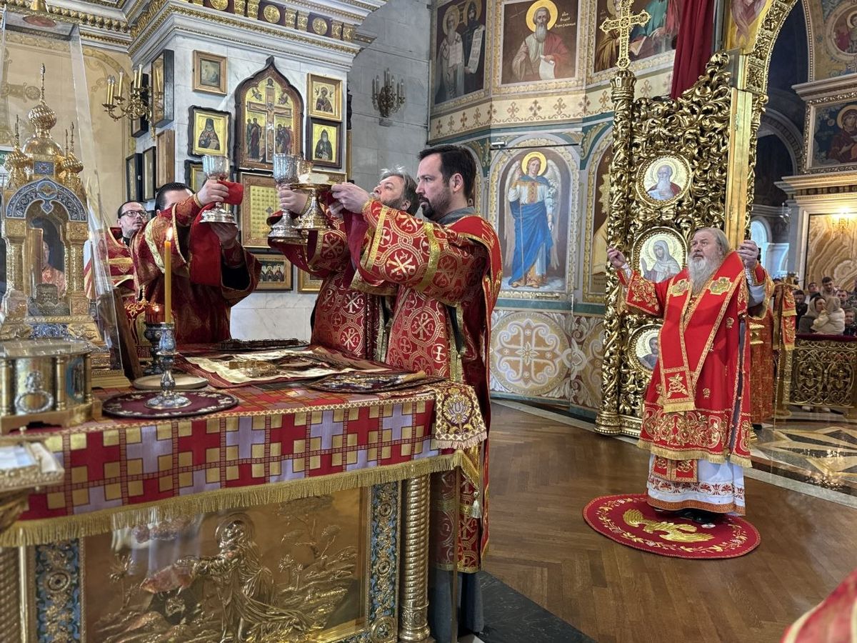 Служение митрополита Филарета в Неделю 4-ю по Пасхе, о расслабленном: фото 6